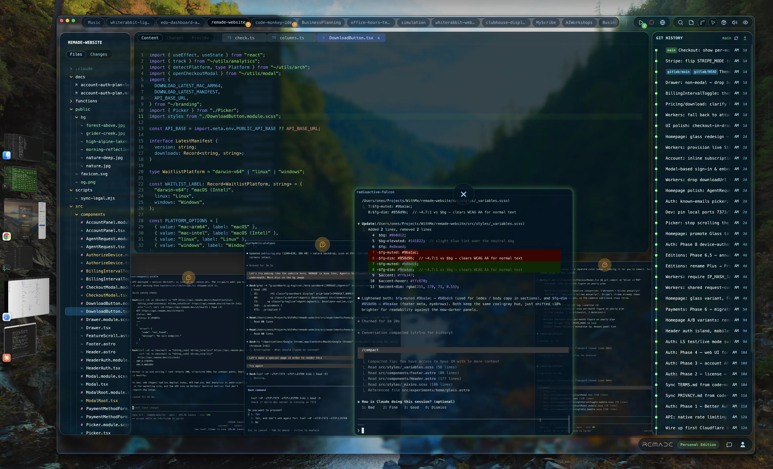 RemADE, the IDE in action